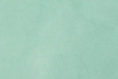 Seafoam