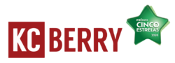 Microcement KCberry Logo